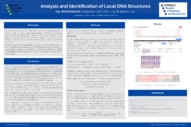 Analýza a identifikácia lokálnych štruktúr DNA