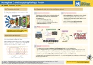 Honeybee comb mapping using a robot