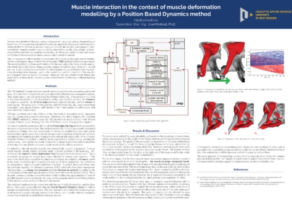 Svalová interakce v kontextu modelování deformace svalů
pomocí Position Based Dynamics metody